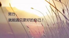 珠江电线：YJV是什么电缆（YJV电缆含义）